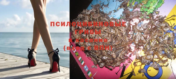 apvp Алексеевка