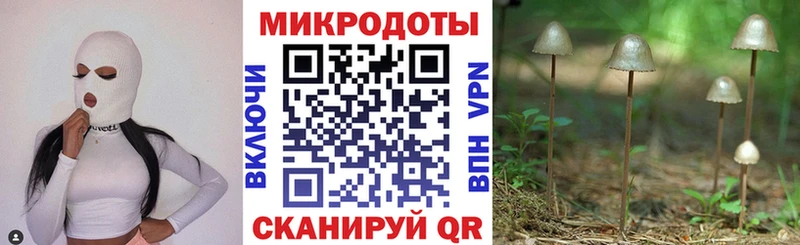 Псилоцибиновые грибы Psilocybe  Мантурово 